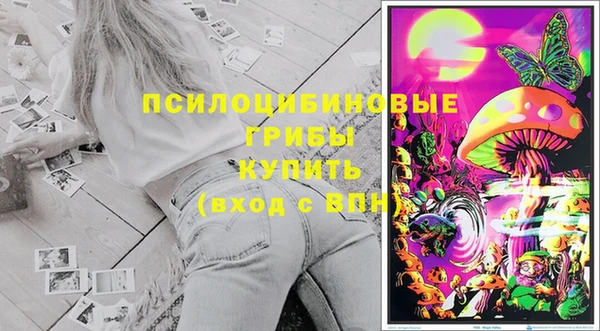 кокс Абаза