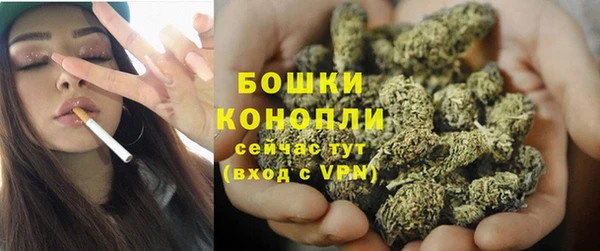 молекула духа Тольятти