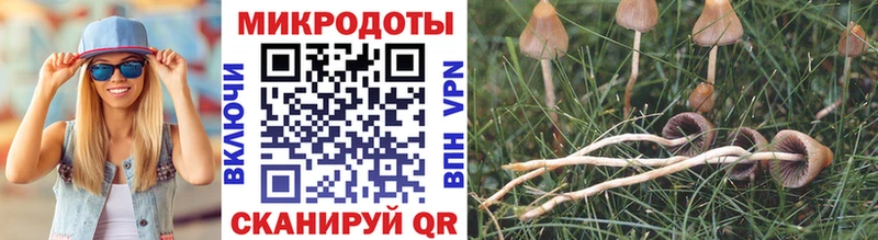 Галлюциногенные грибы GOLDEN TEACHER Златоуст