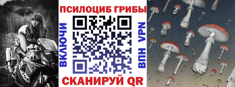 Псилоцибиновые грибы MAGIC MUSHROOMS  гидра маркетплейс  Златоуст  закладка 